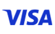 Visa kartica